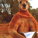 kangaroonie