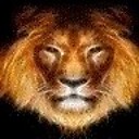 Augustlion99