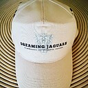 Dreamingjaguars