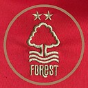 ForestFanRy