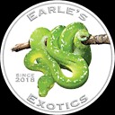 Earlesreptiles