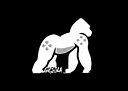 DJGorilla