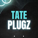 Tateplugz