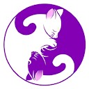 BestCatFooddDotCom