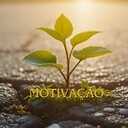 SilvaMotivacional