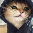 benjebrightharpfskdc