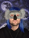 Kyle_The_Koala