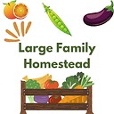 LargeFamilyHomestead