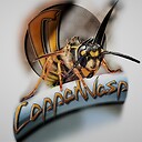 CopperWasp