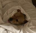 patata_de_muerte89