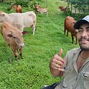 SamoanFarmer