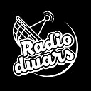 RadioDwars