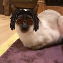 DesiTa000