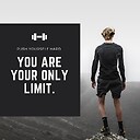 InsaneFitness