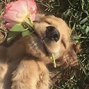 LouLou_03