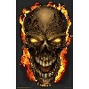 SkullReport