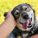 FUNNYZOO024