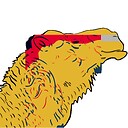 BIGCAMEL