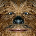 SirChewbacca