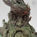 TreeBeard1959