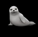 babyseal