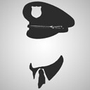 DailyPoliceActivity
