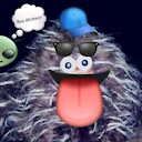 flubbadubba