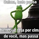 guilherme9845