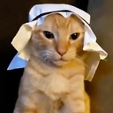 OmerTheOptimal