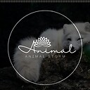 Animalstorm330
