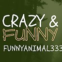 funnyanimal333