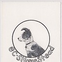 CSHOMESTEAD