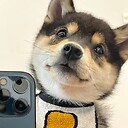 Dogwithablog2