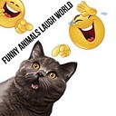 FunnyAnimalVideozTV