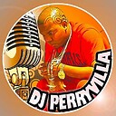 DJPerryvilla