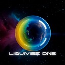 LiquivibeDnB
