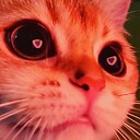 AnimalsCutee3651