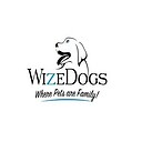 WizeDogsLabradors