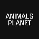 AnimalsPlanet123