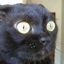 Colonel_Panic
