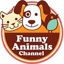 FunnyAnimalsOFFICIAL