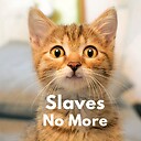 SlavesNoMore