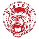 bigdogmediagroup