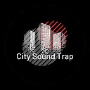 CitySoundTrap