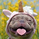 FluffyFriendsFlicks