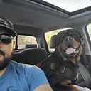 RottieChapo