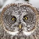 Cooltific