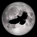 Moon_Hawk