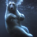 NanookAK49