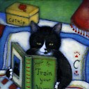 Fonnycatcat